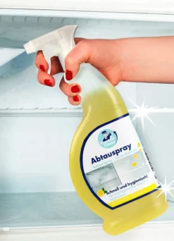 Abtau-Fix mit Zitronenduft, 2er-Set