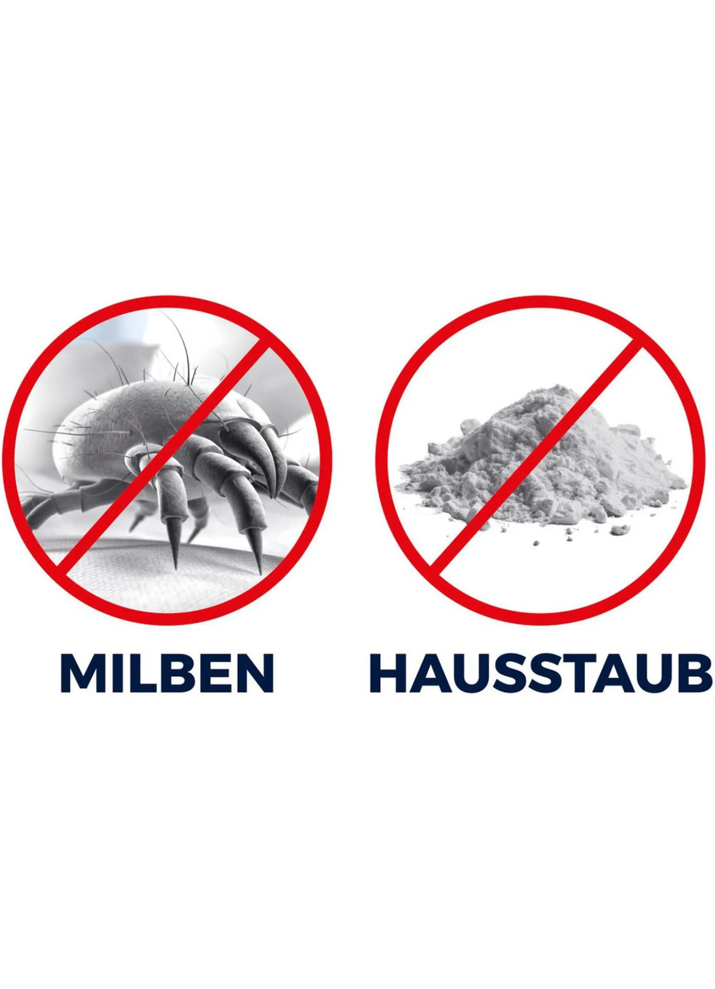 Akku-Milbensauger