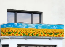 Balkonsichtschutz mit Sonnenblumen-Motiv