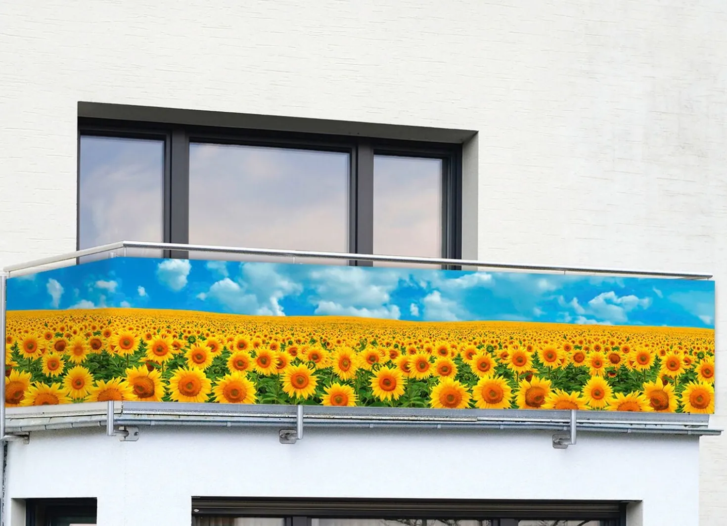 Balkonsichtschutz mit Sonnenblumen-Motiv