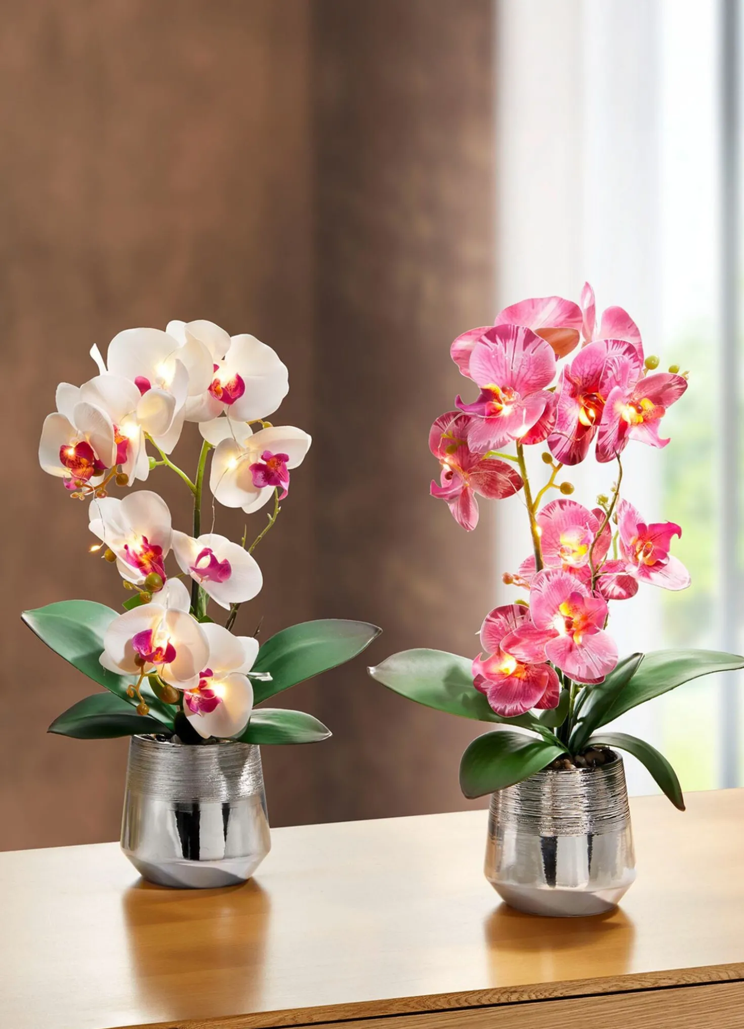 Beleuchtete Orchidee im Topf