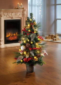 Beleuchteter Tannenbaum