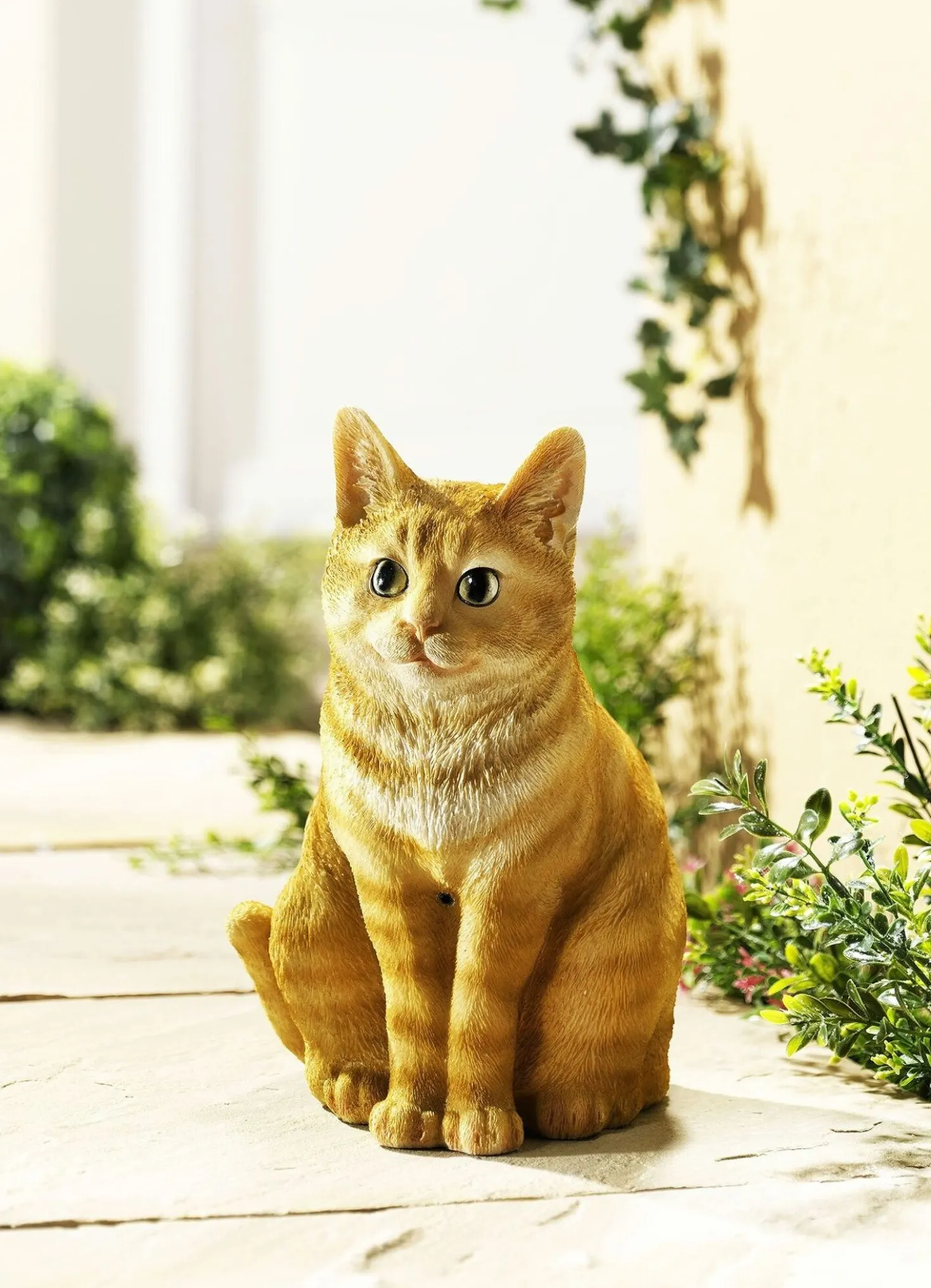 Bewegungsmelder Katze