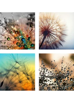 Bilder-Set, 4-teilig, mit Pusteblumen-Motiven