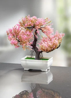 Blühender Bonsai