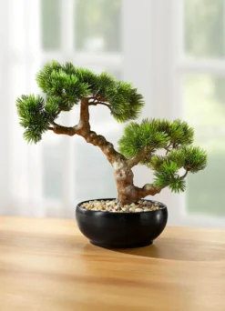 Bonsai im Keramiktopf