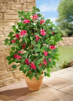 Bougainvillea Kunstpflanze