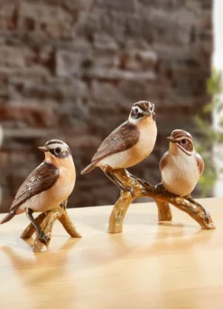 Braunkehlchen - Vogel des Jahres 2023
