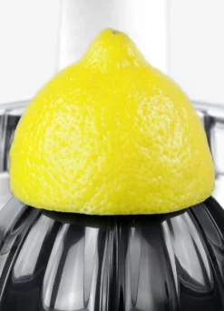 Caso CP300 Zitruspresse für alle Zitrusfrüchte