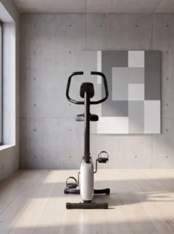 Christopeit Heimtrainer Active