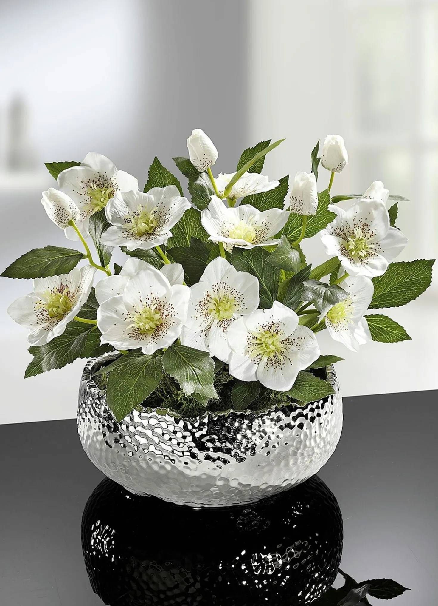 Christrosen in Schale in verschiedenen Farben