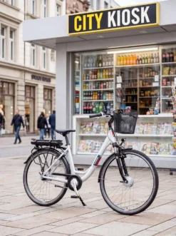 City-E-Bike RC667 von TELEFUNKEN