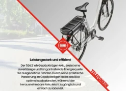 City-E-Bike RC667 von TELEFUNKEN