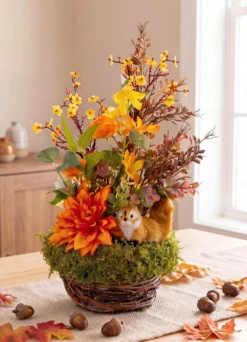 Dahlien-/Mohn-Arrangement im Topf