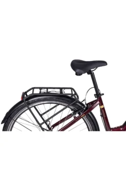 E-Bike Comfort Plus 5.0 von Saxonette