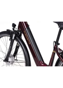E-Bike Comfort Plus 5.0 von Saxonette