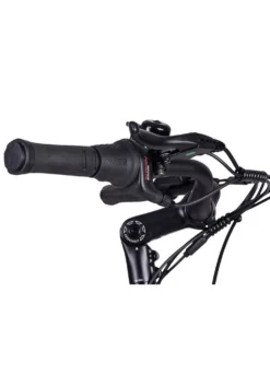 E-Bike Comfort Plus 5.0 von Saxonette