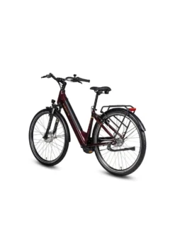 E-Bike Comfort Plus 5.0 von Saxonette