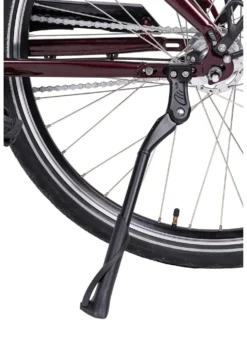 E-Bike Comfort Plus 5.0 von Saxonette