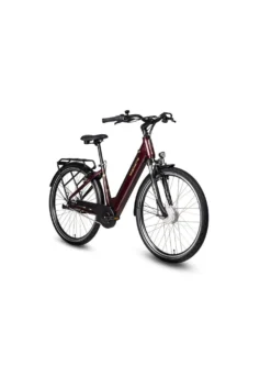 E-Bike Comfort Plus 5.0 von Saxonette