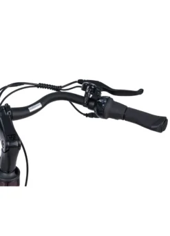 E-Bike Comfort Plus 5.0 von Saxonette