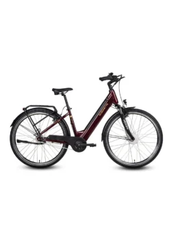 E-Bike Comfort Plus 5.0 von Saxonette