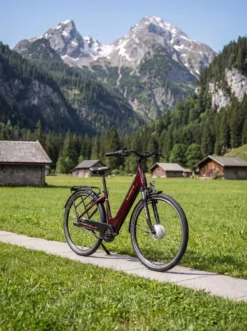 E-Bike Comfort Plus 5.0 von Saxonette