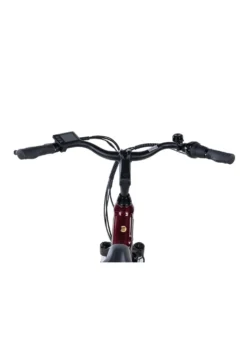E-Bike Comfort Plus 5.0 von Saxonette