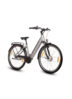 E-Bike Comfort Plus 5.0 von Saxonette