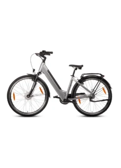 E-Bike Comfort Plus 5.0 von Saxonette
