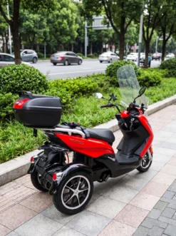 E-City-Roller Maximus MX3-25