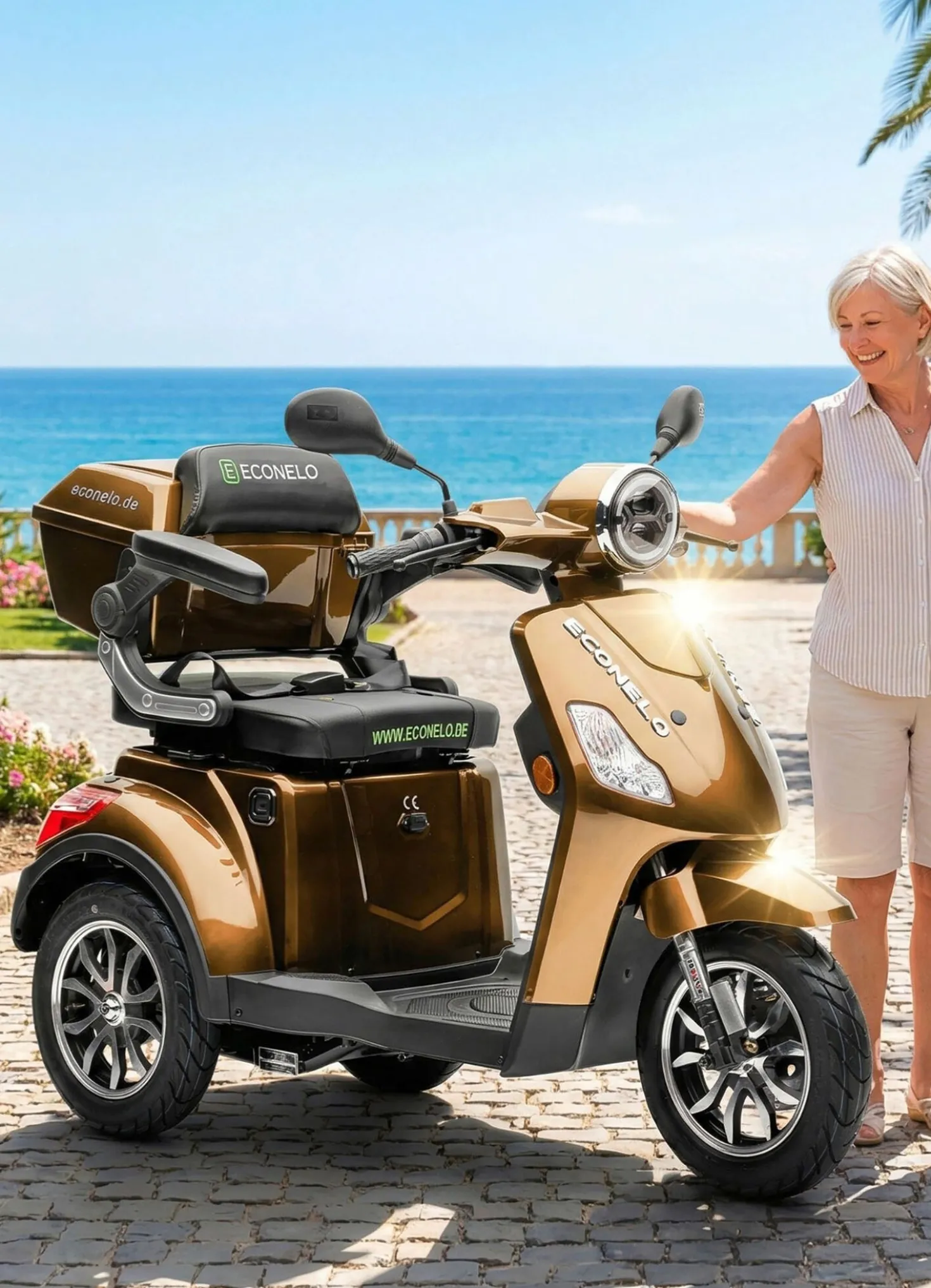 Econelo Akku-Trike, 3-Rad