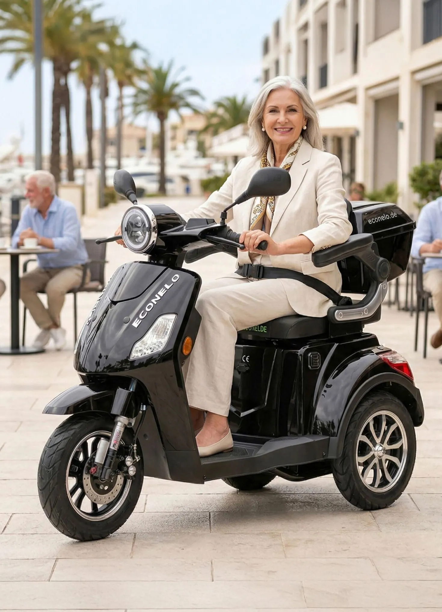 Econelo Akku-Trike, 3-Rad