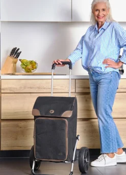 Einkaufswagen Royal Shopper Holk