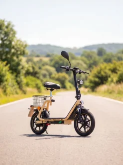 Elektroroller City Floh S-Type