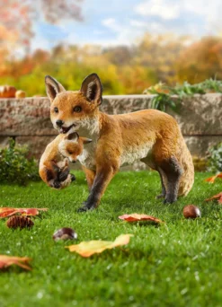 Fuchs mit Jungem