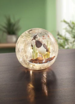 Glaskugel mit Beleuchtung