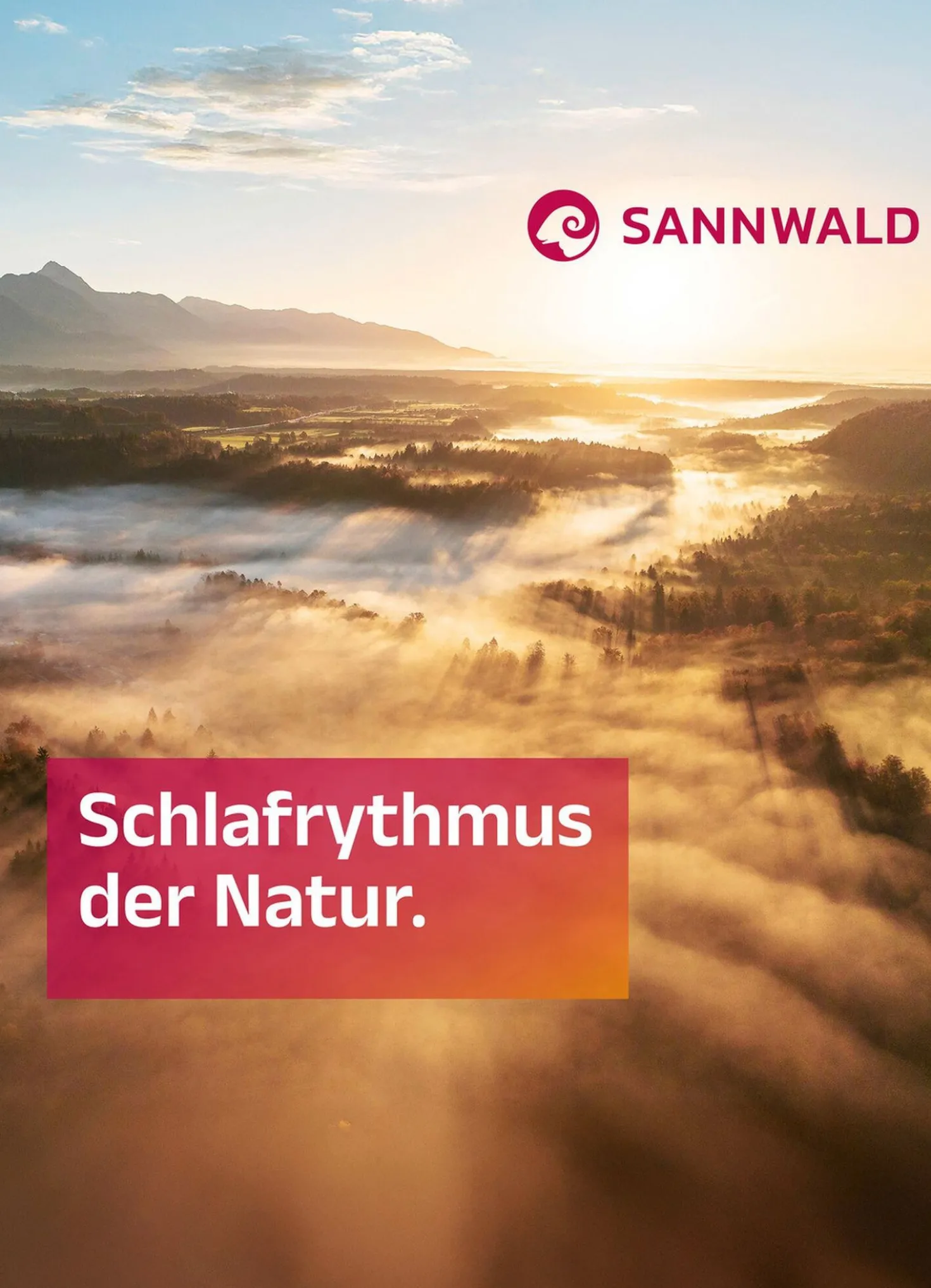 Gänsedaunen-Kissenprogramm von Sannwald