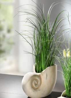 Grasbusch aus Kunstmaterial in Muschel
