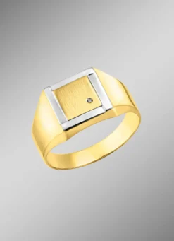 Herrenring in Bicolor-Design