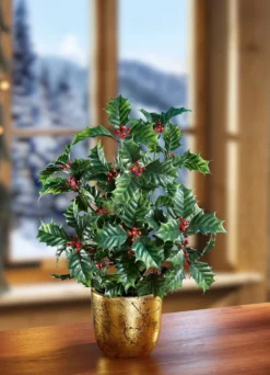 Ilex-Gesteck im Topf