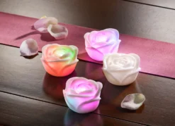 LED-Rosen, 4er-Set