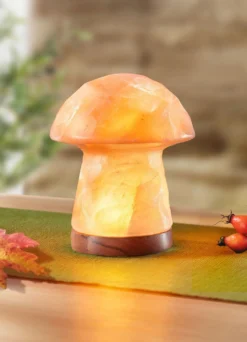 LED-Salzstein-Pilz