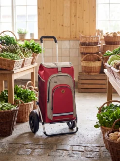 Leichter Einkaufsroller Royal Shopper