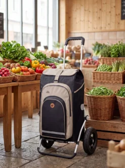 Leichter Einkaufsroller Royal Shopper