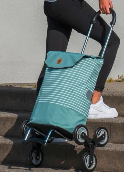Leichter und robuster Einkaufsroller von Andersen
