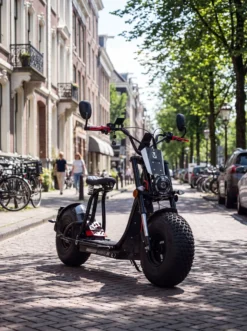 Maximus E-Cruiser - Die Alternative zum Motorrad