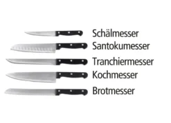 Messerblock, 6-teilig, mit 5 Messern
