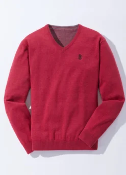 Modischer V-Pullover