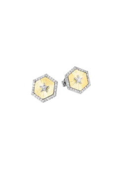Ohrstecker in Bicolor mit 2 Brillanten und 60 Diamanten